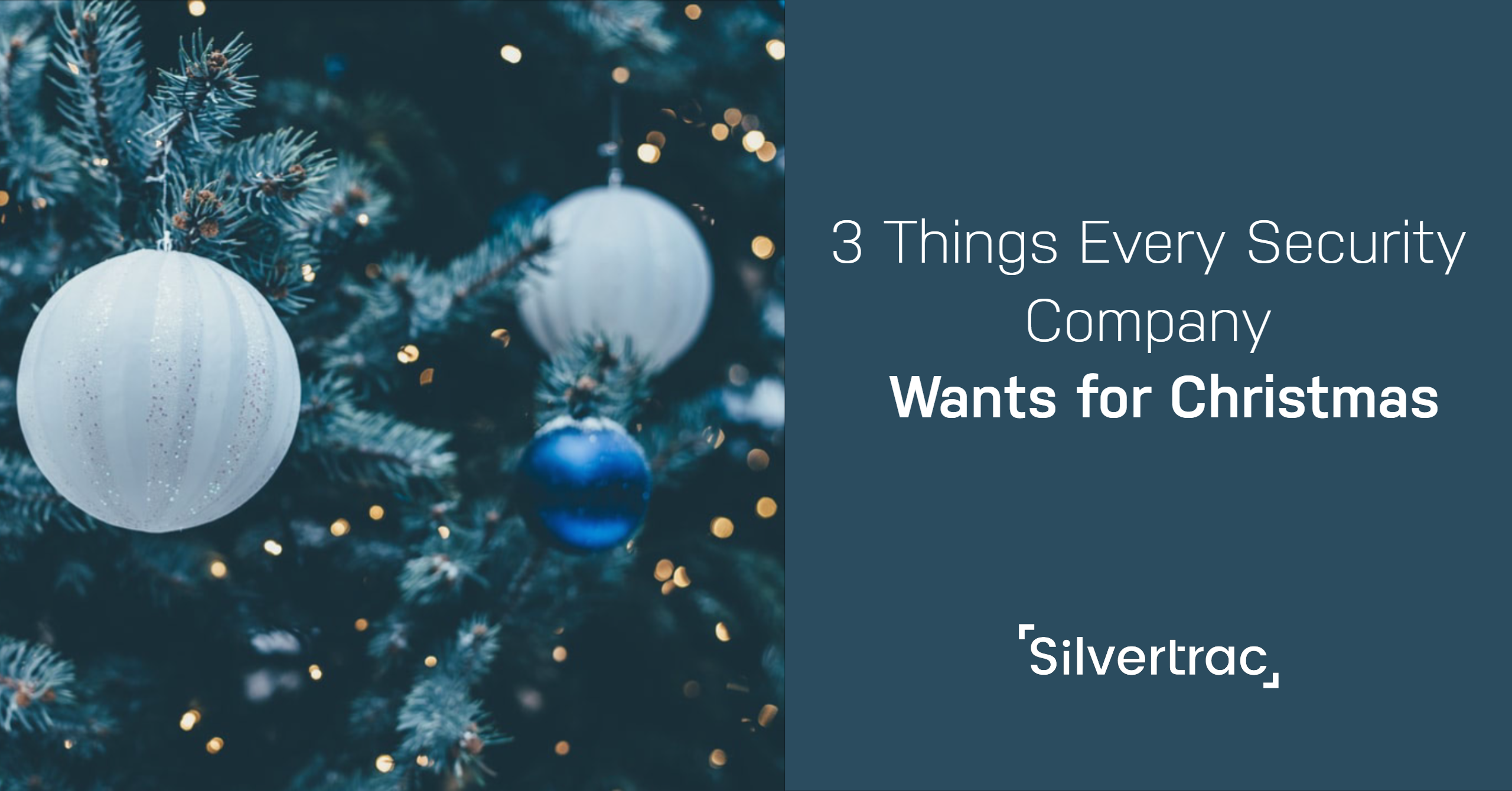 Things Security Professionals Want for Christmas